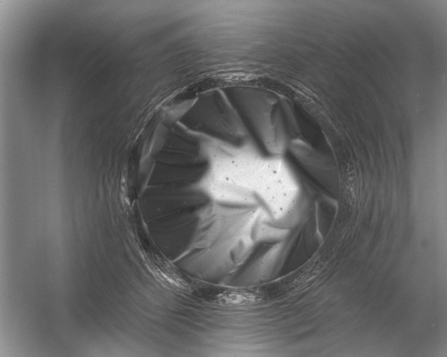 X0000054380512200508191916