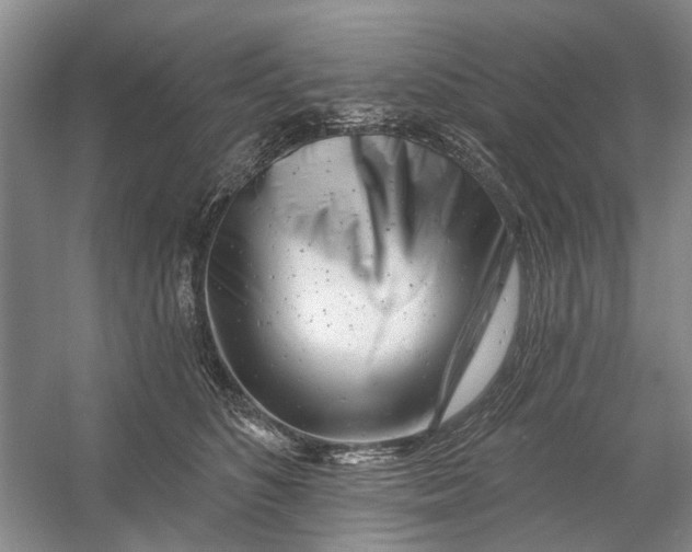 X0000054380516200508191916