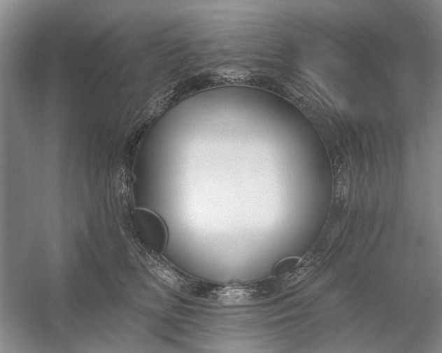 X0000054380518200508191916