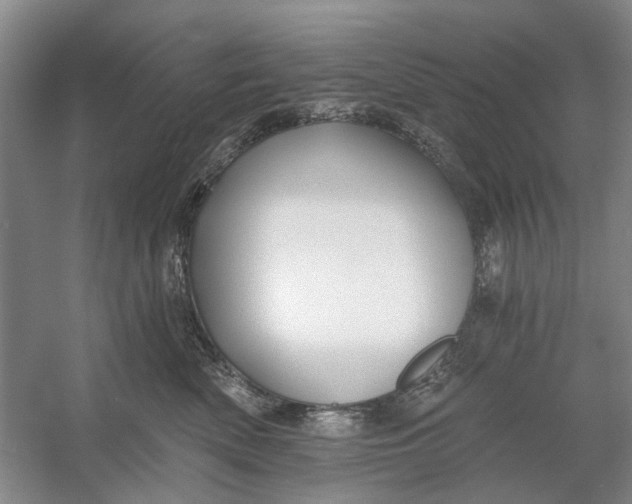 X0000054380522200508191916