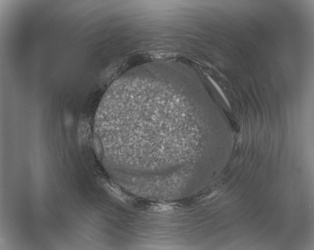 X0000054380523200508191916