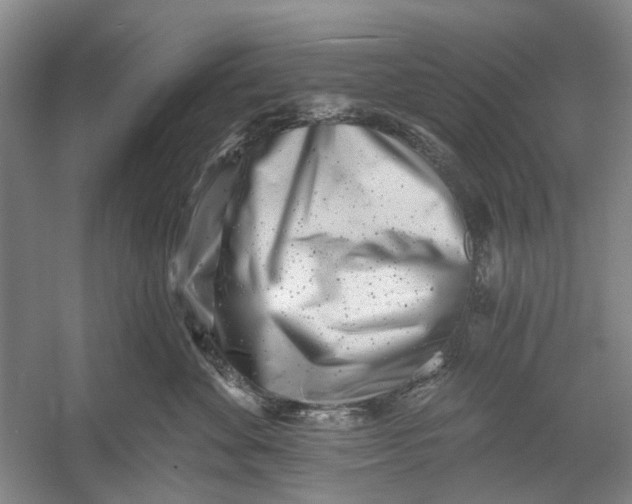 X0000054380524200508191916