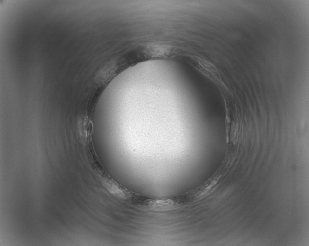 X0000054380525200508191916