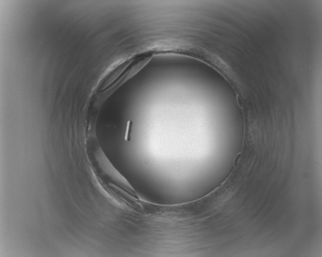 X0000054380530200508191915