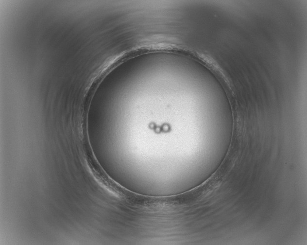 X0000054380533200508191915