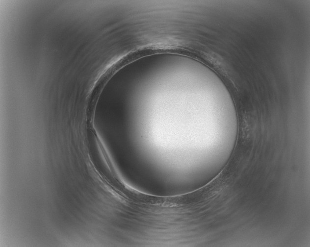 X0000054380535200508191915