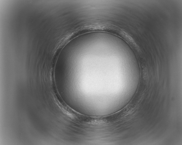 X0000054380537200508191915