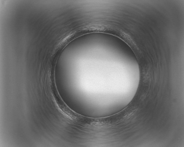 X0000054380538200508191915