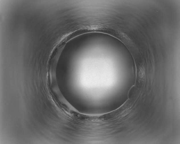 X0000054380540200508191915