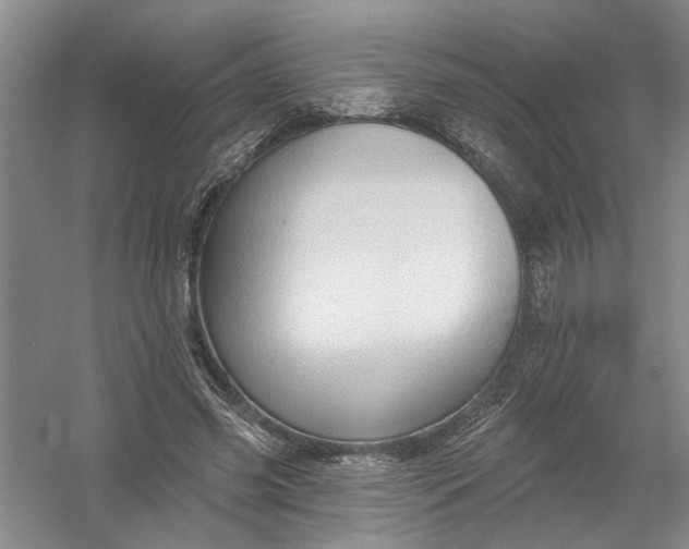 X0000054380541200508191915