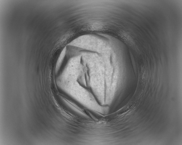 X0000054380542200508191915