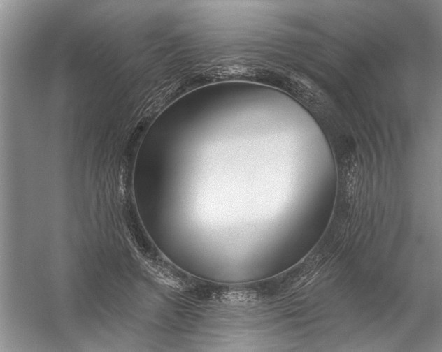 X0000054380546200508191915