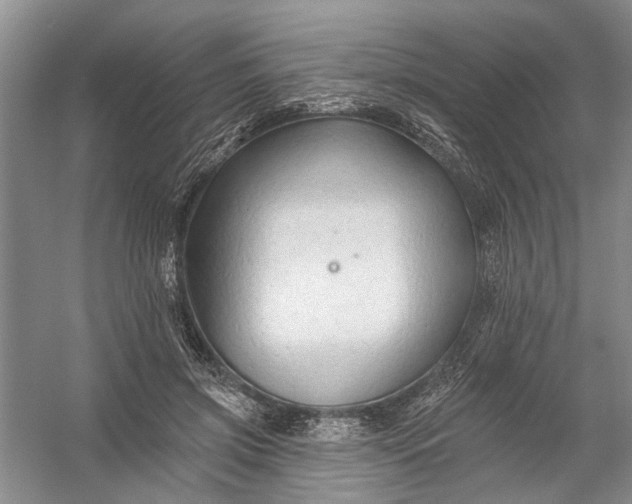 X0000054380549200508191915