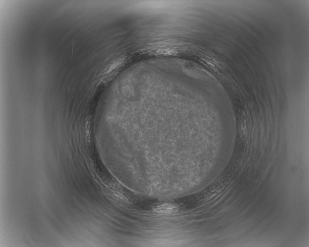 X0000054380551200508191915