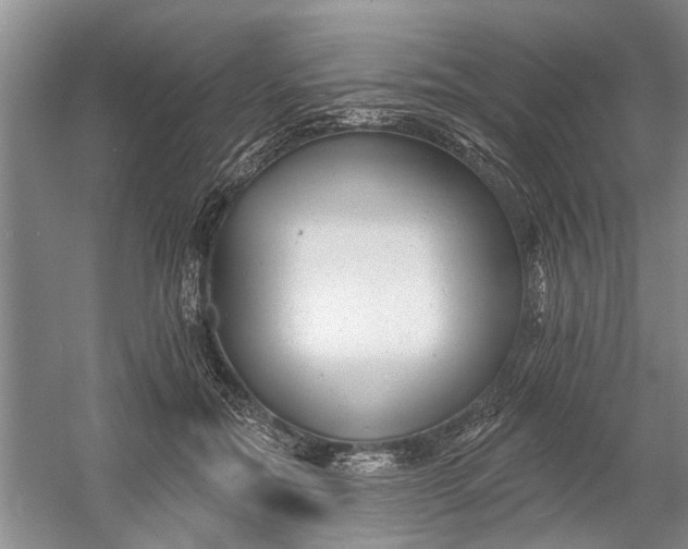 X0000054380554200508191915