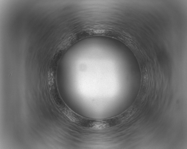 X0000054380555200508191915