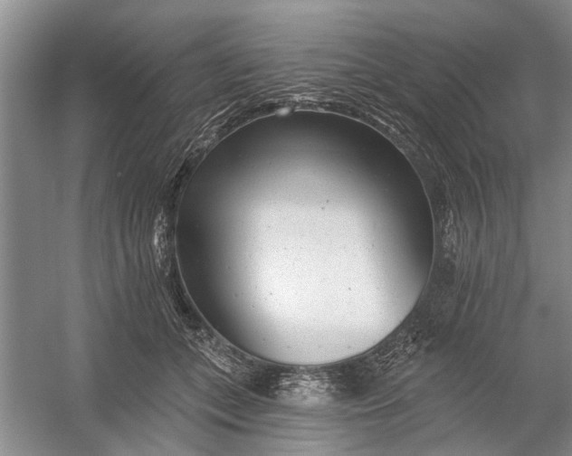 X0000054380559200508191915