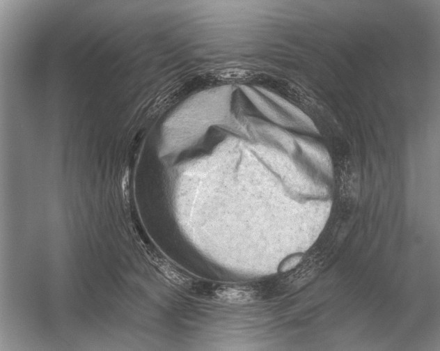 X0000054380561200508191915