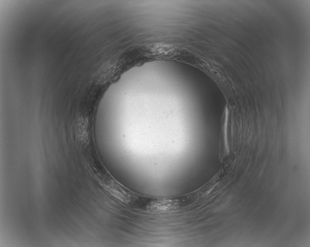 X0000054380563200508191915