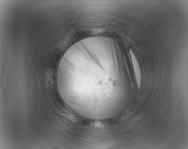 X0000054380565200508191915