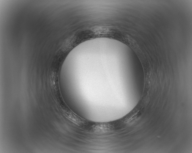 X0000054380567200508191916