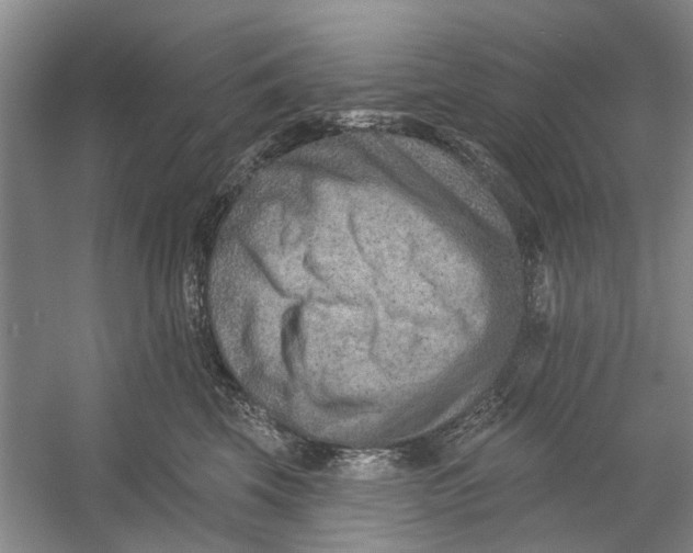 X0000054380569200508191916