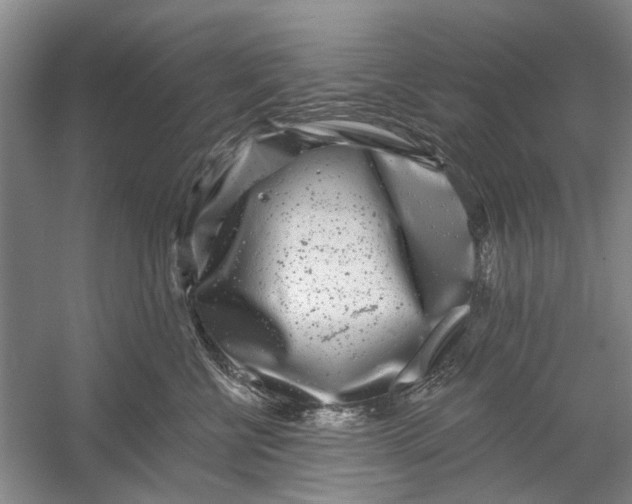 X0000054380570200508191916