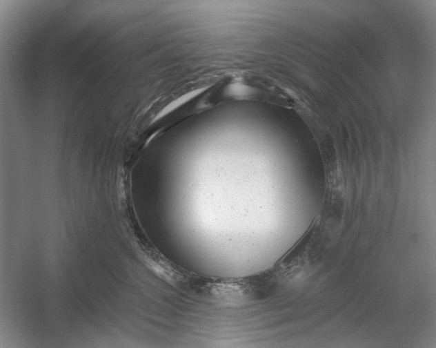 X0000054380572200508191916