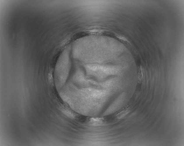 X0000054380573200508191916