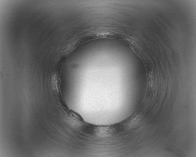 X0000054380575200508191916