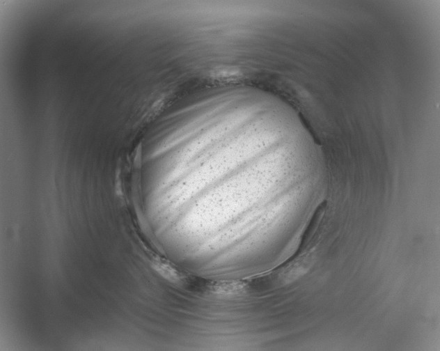 X0000054380576200508191916