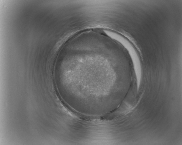 X0000054380577200508191915