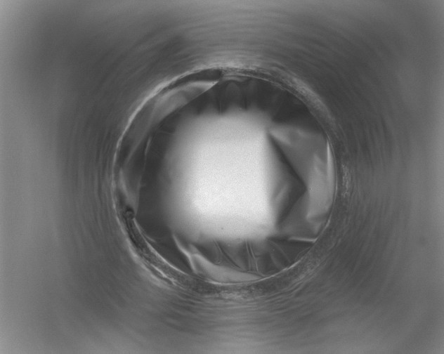 X0000054380580200508191915