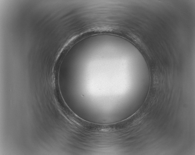 X0000054380584200508191915