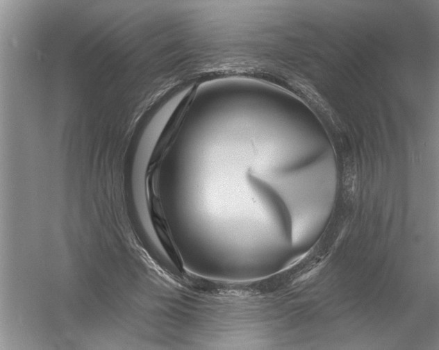 X0000054380585200508191915