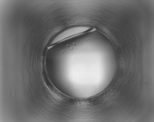 X0000054380586200508191915