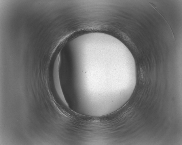 X0000054380588200508191915