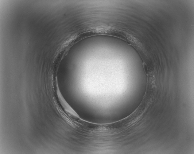 X0000054380589200508191915