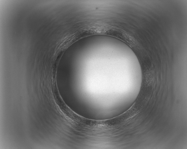 X0000054380594200508191915