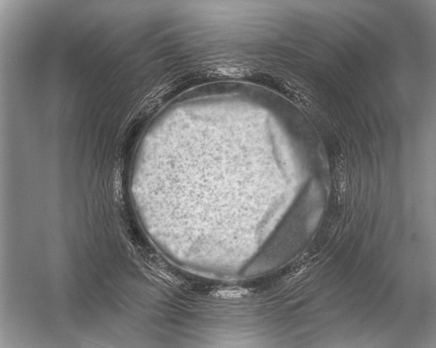 X0000054380595200508191915