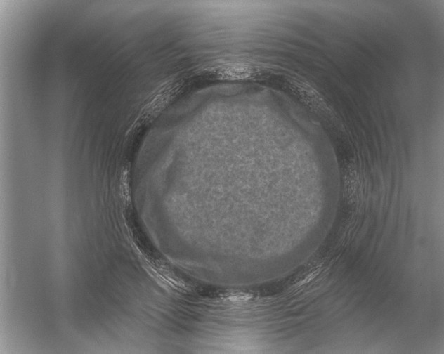 X0000054380598200508191914