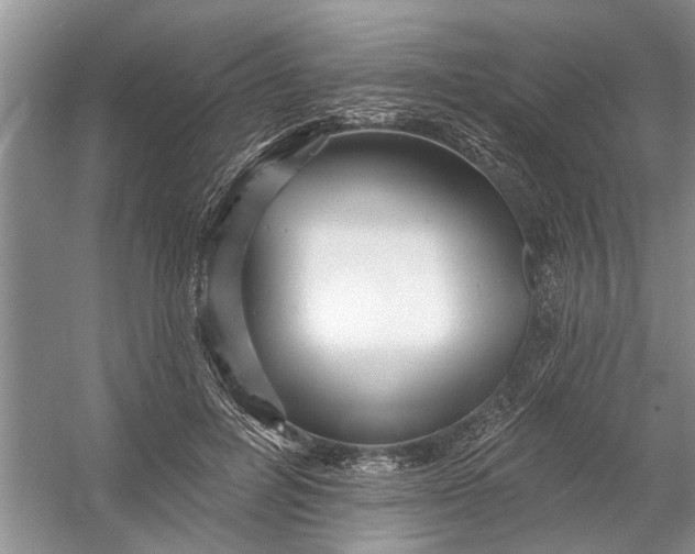 X0000054380600200508191914