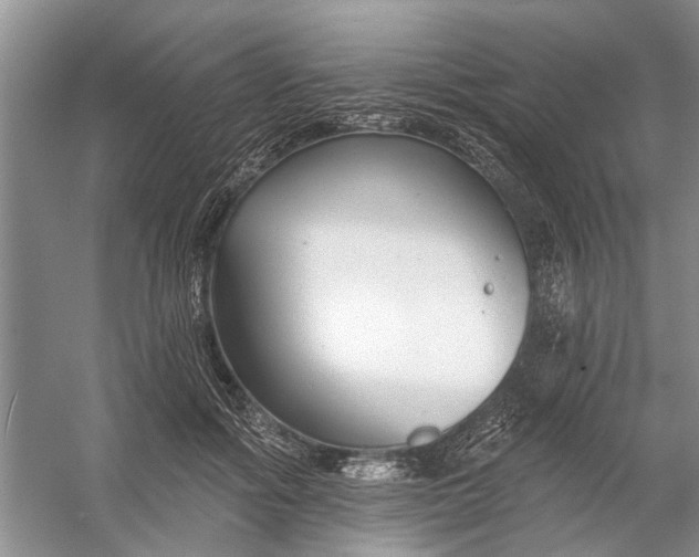 X0000054380602200508191914