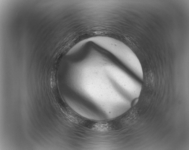 X0000054380606200508191914