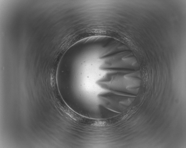 X0000054380609200508191914