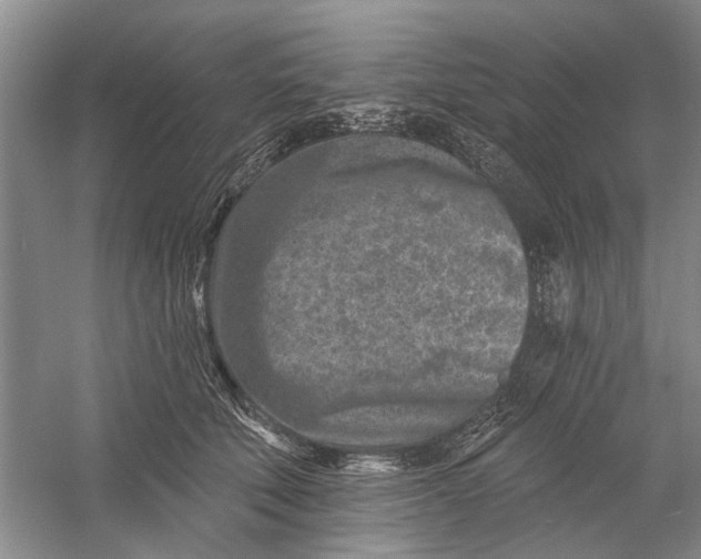 X0000054380610200508191914