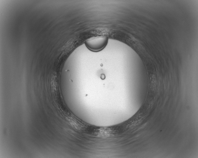 X0000054380612200508191914