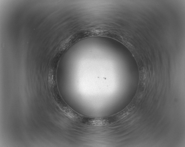 X0000054380615200508191914