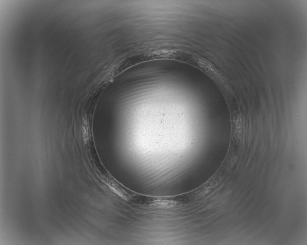 X0000054380617200508191914