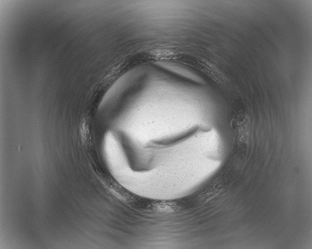 X0000054380618200508191914